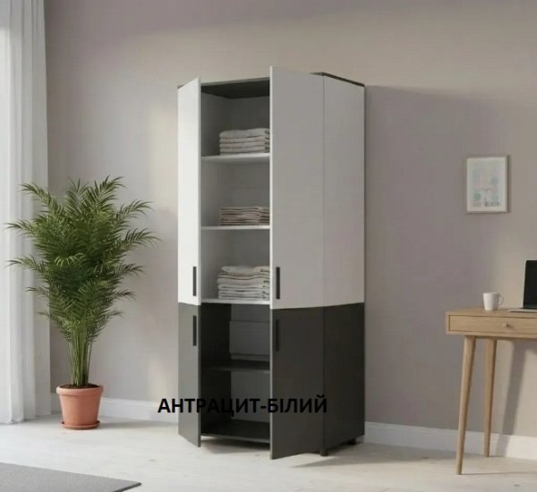 Шкаф для одежды Торн 2ДСП (полки) 90*51,6*200